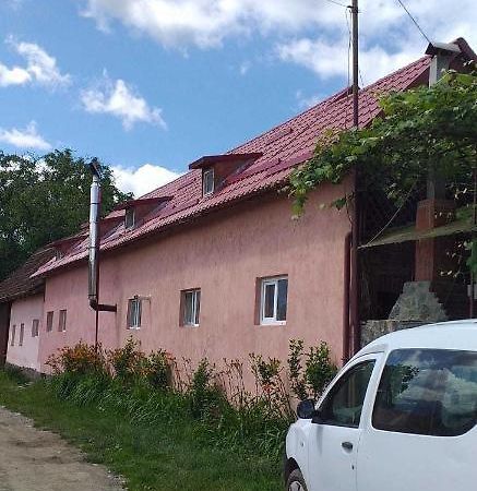Casa Boierului Imbri Villa Cârțișoara Exterior photo