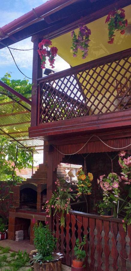 Casa Boierului Imbri Villa Cârțișoara Exterior photo