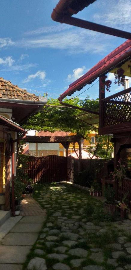 Casa Boierului Imbri Villa Cârțișoara Exterior photo