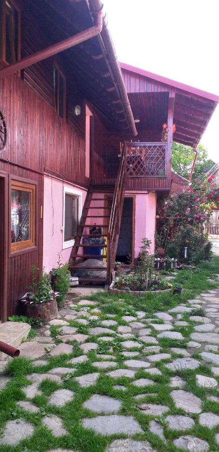 Casa Boierului Imbri Villa Cârțișoara Exterior photo