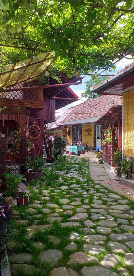 Casa Boierului Imbri Villa Cârțișoara Exterior photo