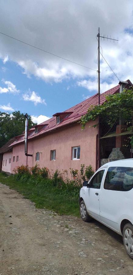 Casa Boierului Imbri Villa Cârțișoara Exterior photo