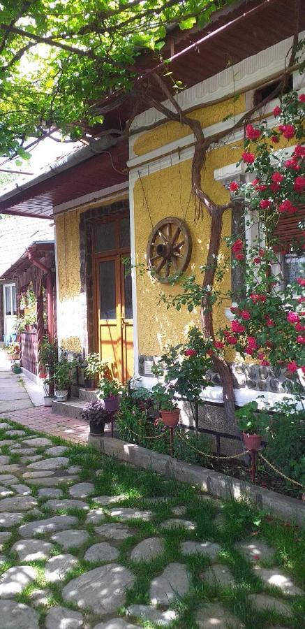 Casa Boierului Imbri Villa Cârțișoara Exterior photo