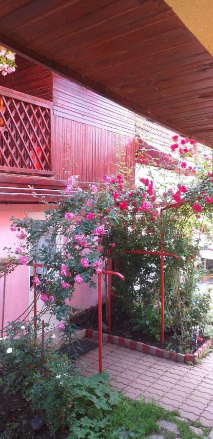 Casa Boierului Imbri Villa Cârțișoara Exterior photo